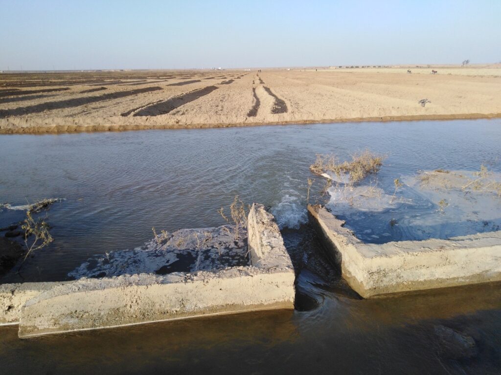 picture4